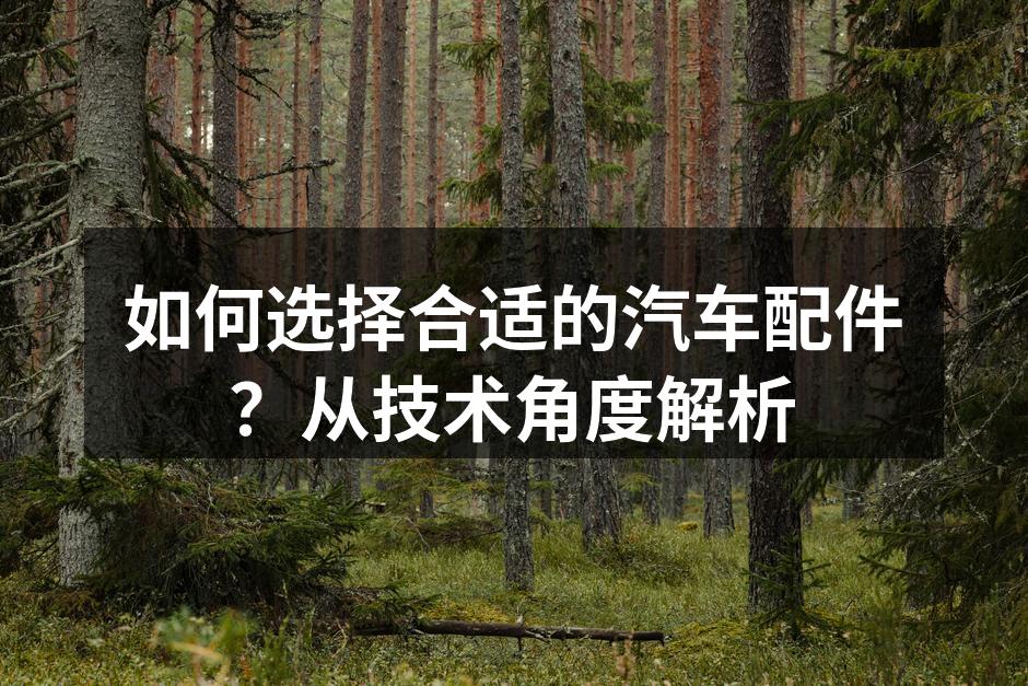 多种汽车配件展示