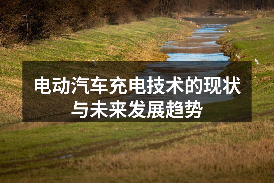 电动汽车充电桩的普及为绿色出行提供了便利。