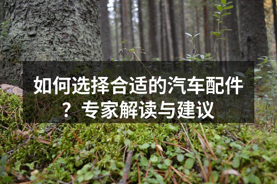 汽车配件的正确选择至关重要